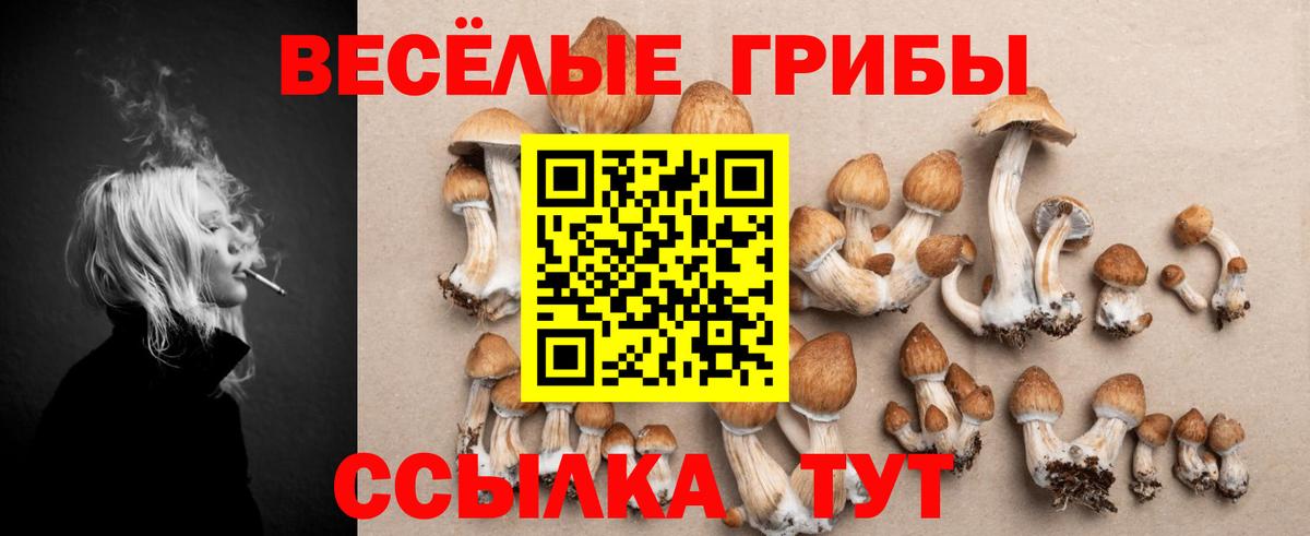 Кстово  сколько стоит  Вход с VPN  Галлюциногенные грибы ЛСД 